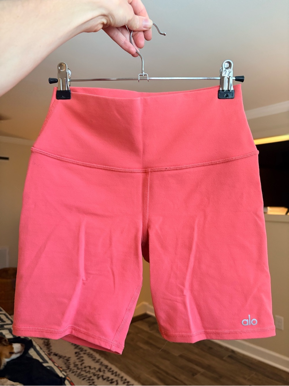 Alo yoga bike shorts